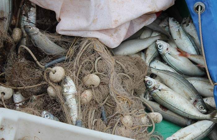 Featured image for “Lagur “Galeb” poziva ribare iz općina Tisno, Murter – Kornati i Pirovac na sastanak”