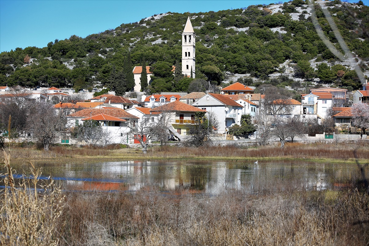 Featured image for “Zaštitimo lokvu i njene žabe!”