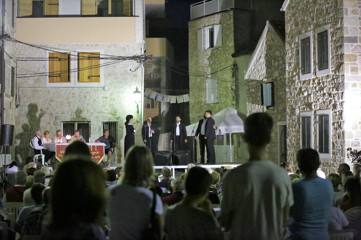 Featured image for “Poezija na pirovačkoj Rudini – tražilo se mjesto više”