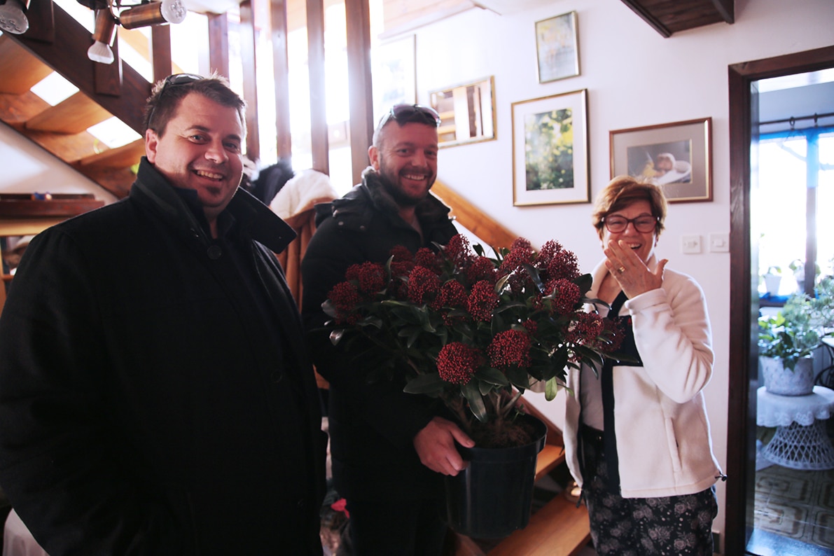 Featured image for “CVIJETNA RENESANSA “Skimmia japonica” za jedan od najljepših murterskih vrtova”