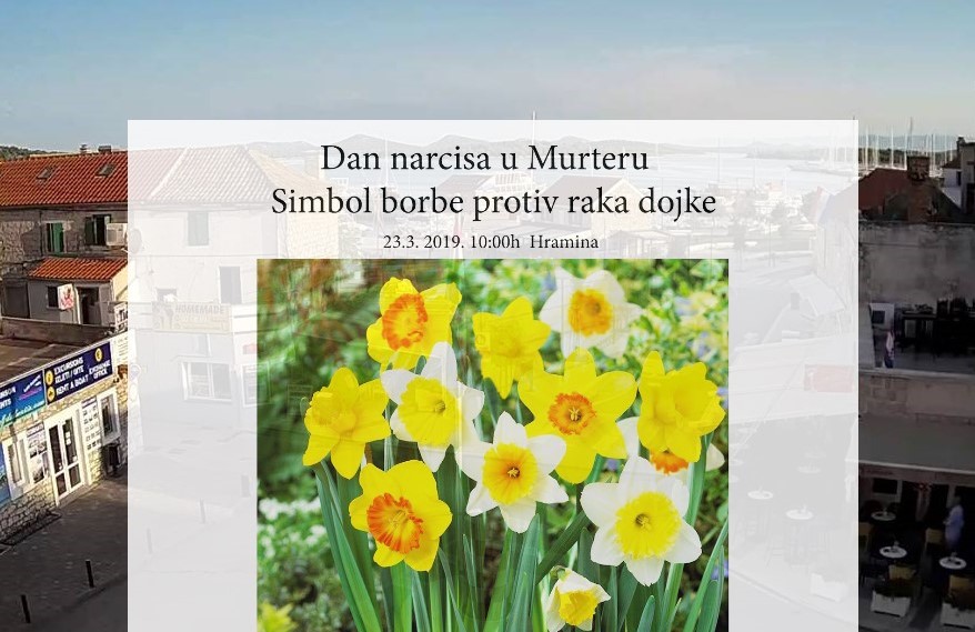 Featured image for “Dan narcisa na Hramini”