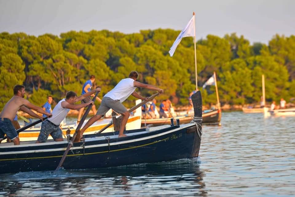 Featured image for “DIDOVIN VESLUN Sedam gajeta u utrci za Veliku sohu sv. Roka”