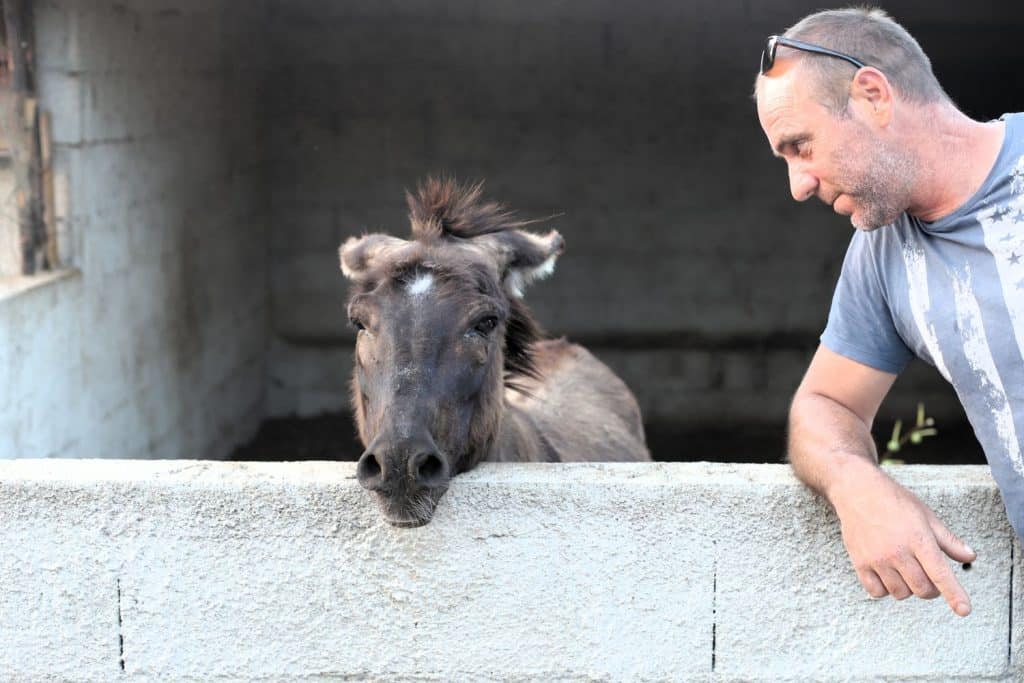 Miško i Deva (Foto: Rudinapress/H. Pavić)